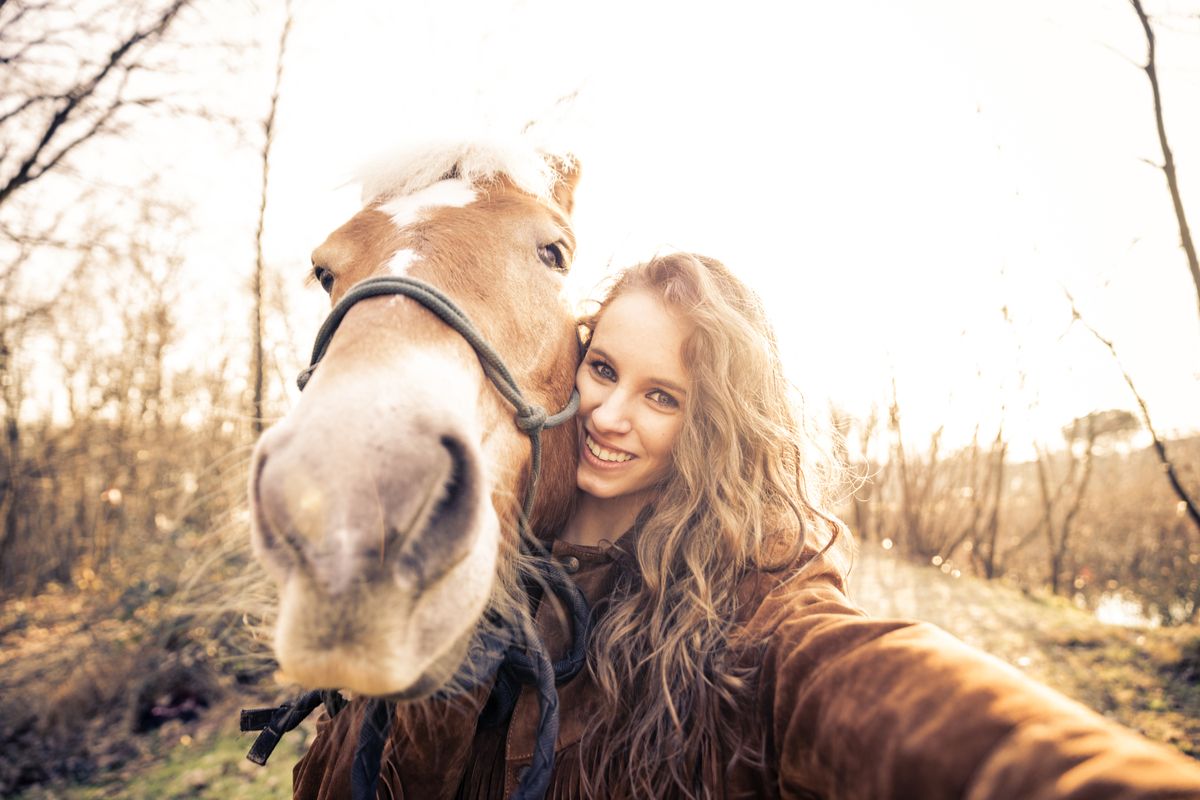 TROUVEZ UN GARDIEN CHEVAUX