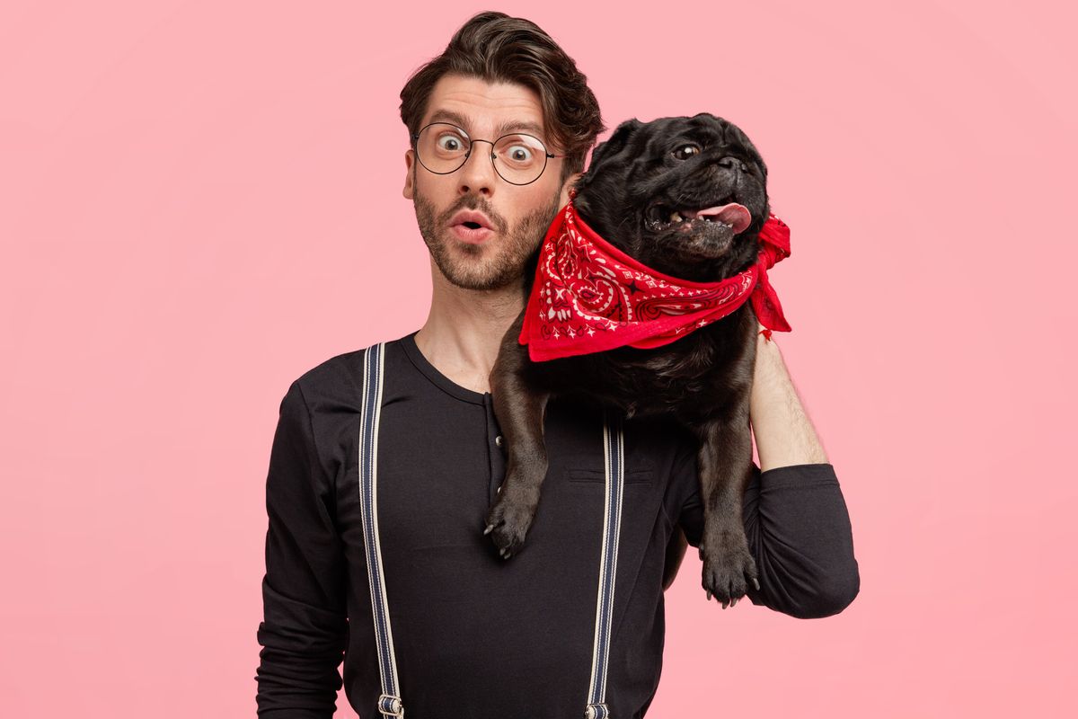 PROMENEUR DE CHIENS VACANDES